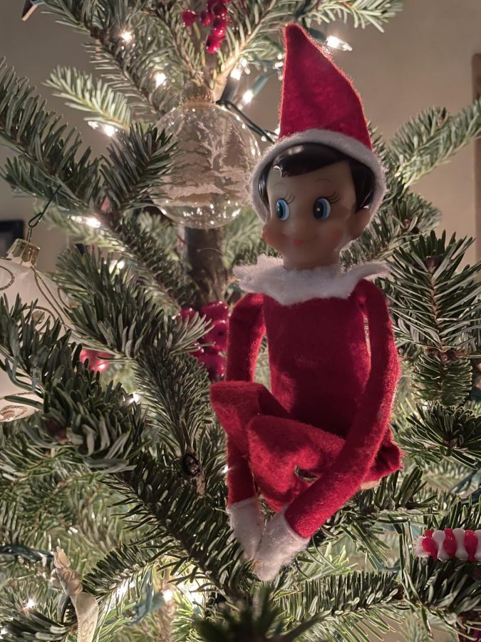 The Elf on the Shelf can take on many interesting names! Some students around our school have elves named Carmen, Elfie and Mistletoe. 