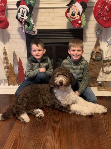 Easton and Kaden Phillips both enjoy playing with the family dog Milo. The boys are happy to have him as part of the Phillips family. 