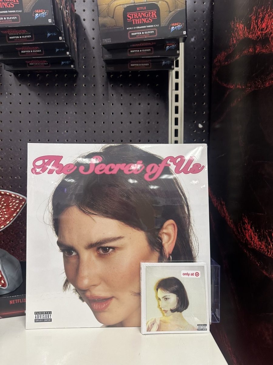 Nepo baby Gracie Abrams, the daughter of filmmaker and Star Wars director J.J. Abrams is a singer/songwriter.  Her hit album “The Secret of Us” is available at Target on vinyl and CD.
