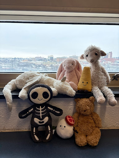 Pictured above are some of Drezewski’s favorite Jellycats she mentioned along with some other fan favorites. This past summer, Jellycat released a line of cheeses and bread, like the mozzarella ball and the parmesan cheese featured in the photo above. Happy shopping, Hillers!
