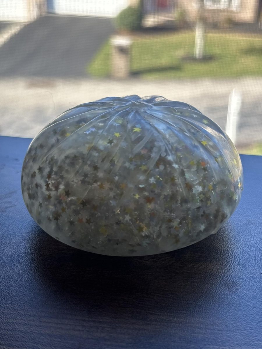 The rare, glitter dumpling is extremely hard to find. The texture of these dumplings are a gel-like consistency with gold, glitter stars inside, creating an entertaining stress-reliever.
