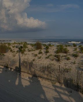 Beaches are one of the most popular vacation destinations and one of the most polluted areas on Earth. Keeping beaches clean protects marine life from entanglement and ingestion of plastics and prevents toxic pollutants from entering the food chain. 